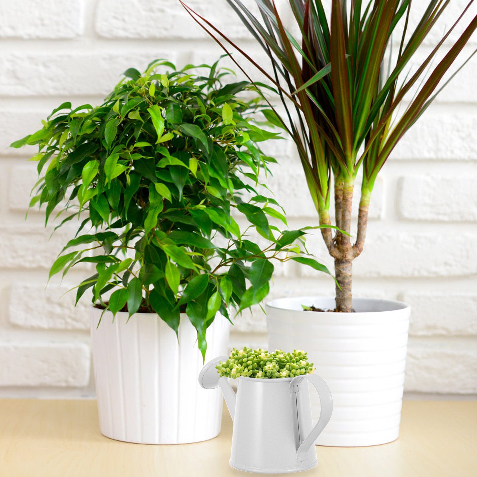 Miniature Iron Watering Can fo - Home Office With Bookshelves ulasan dan harga